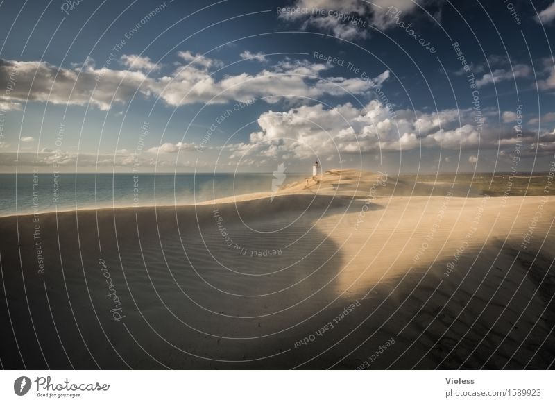 Desert Planet IV Vacation & Travel Sun Beach Coast Bay North Sea Discover Relaxation Beach dune Dune Rubjerg Wanderdüne Rubjerg Knude Lighthouse