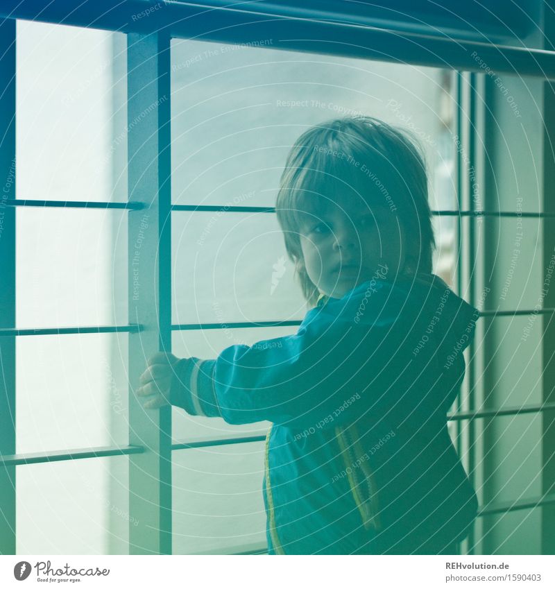 Little child is at the window Human being Masculine Child Toddler Boy (child) 1 1 - 3 years Window Jacket Short-haired Stand Small Blue Green Trust Safety