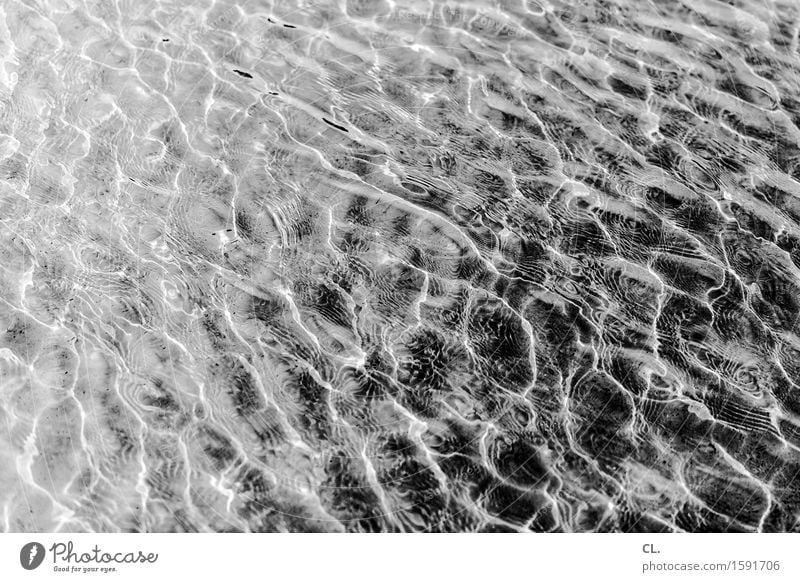 Water Nature Cold Complex Surface of water Black & white photo Exterior shot Abstract Deserted Day