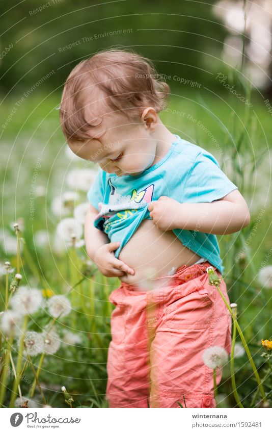 Look where is my belly botton Baby Toddler Girl Showing one's bellybutton 1 Human being 1 - 3 years Environment Nature Dandelion Garden Park Field Touch