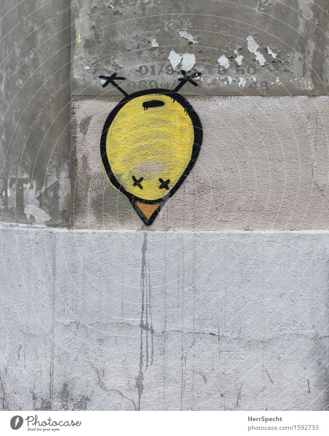 Strange bird Wall (barrier) Wall (building) Graffiti Funny Round Trashy Town Yellow Gray Street art Bird Chick Spit Beak Head first Art Exceptional Subculture