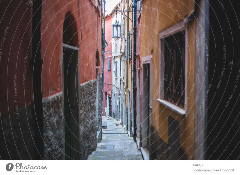 Lane II Village Old town Deserted House (Residential Structure) Wall (barrier) Wall (building) Facade Uniqueness Narrow Alley Colour photo Multicoloured