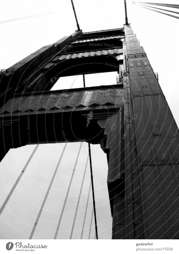 Golden Gate Bridge San Francisco Wire cable Steel Black & white photo monumental building dwarf perspective
