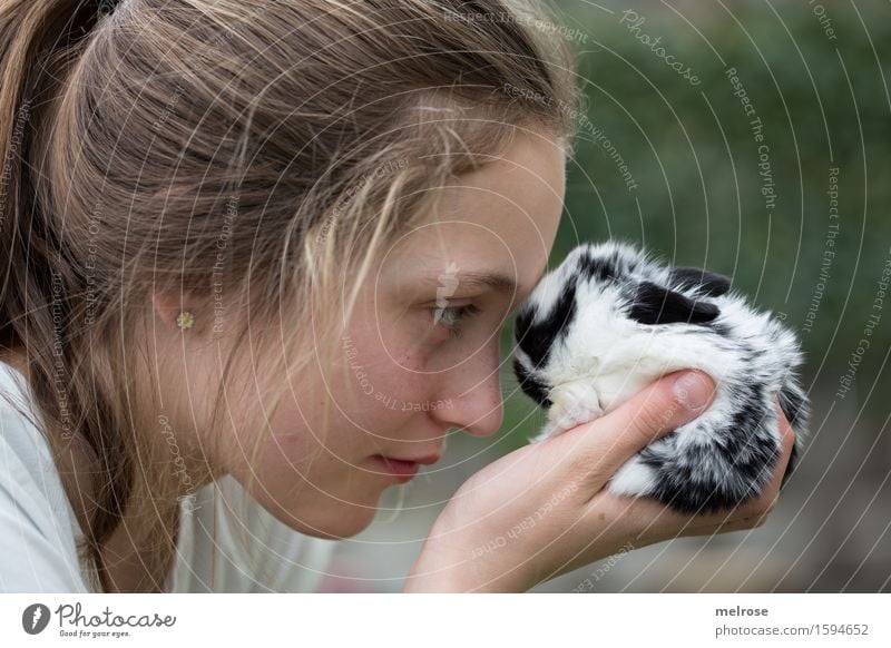 Look me in the eyes ... Girl Face Arm Hand Fingers 1 Human being 8 - 13 years Child Infancy Pet Pelt baby hare Pygmy rabbit rodent Mammal hare spoon