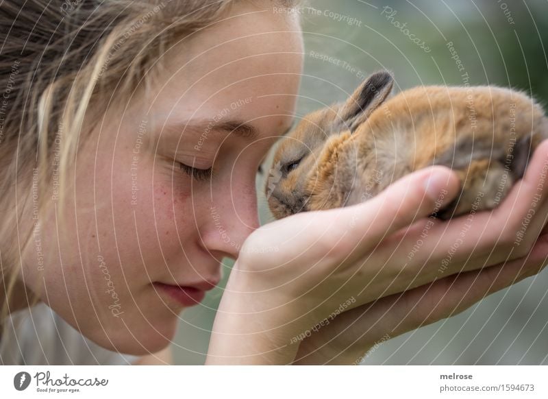 Love you so much Human being Girl Face Hand Fingers 1 8 - 13 years Child Infancy Pet Pygmy rabbit Rodent Mammal Animal Baby animal Touch To enjoy Near Cute Soft