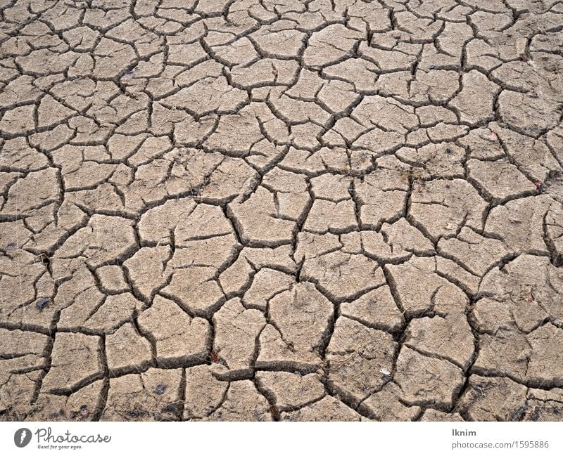 cracks in the soil, dried-up field Environment Earth Climate change Drought Dry Threat Crisis Nature Environmental pollution Environmental protection Decline