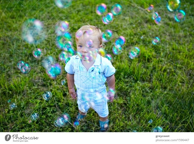 A little 16 month-old boy is looking at soap-bubbles. Baby's dreams. Lifestyle Joy Happy Beautiful Face Leisure and hobbies Playing Summer Garden Child