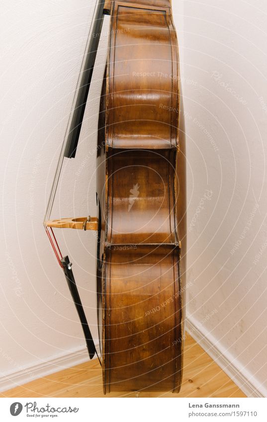 Double bass - side view Joy Night life Entertainment Music Concert Musician bass violin Musical instrument Brown Colour photo Deserted Flash photo