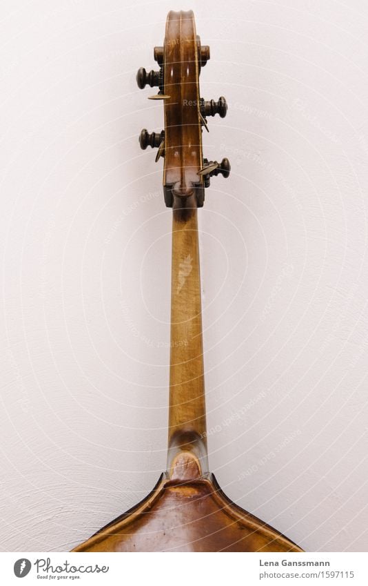 Head of a double bass - rear view Music Concert Musician Musical instrument Double bass String instrument Wood Listen to music Wait Brown Colour photo Deserted
