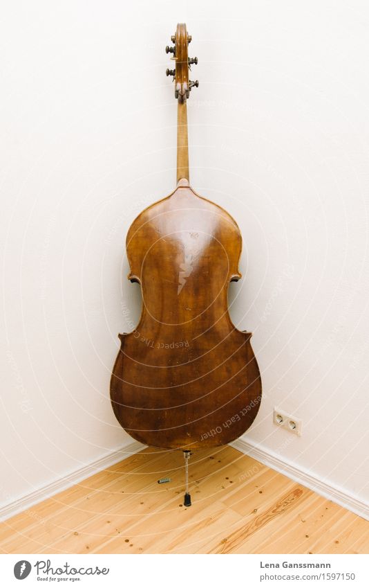 Double bass was naughty Music Concert Musician Orchestra Musical instrument Electric bass String instrument Jazz Classical Brown Relationship Education