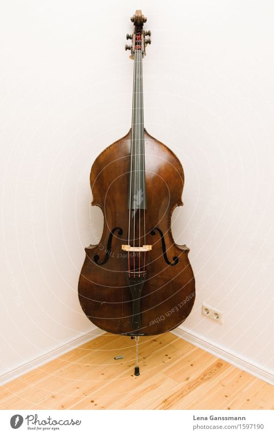 Beautiful old double bass Art Music Concert Stage Opera Musician Orchestra Double bass Electric bass String instrument Musical instrument string Wood Esthetic