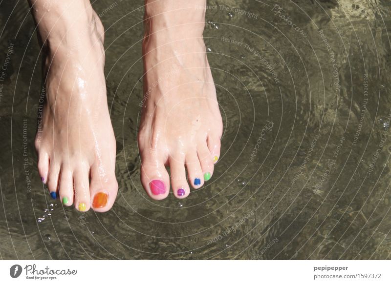 With colorful toenails - woman takes cold foot bath at lake pretty Personal hygiene Pedicure Cosmetics Nail polish Wellness Well-being Swimming & Bathing