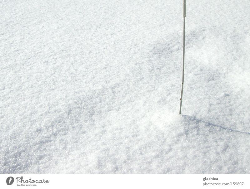 snowed Snow Cold White Flake Rod Stick Prickle Pierce Sharp Mountain Ice Empty Calm Winter Transience