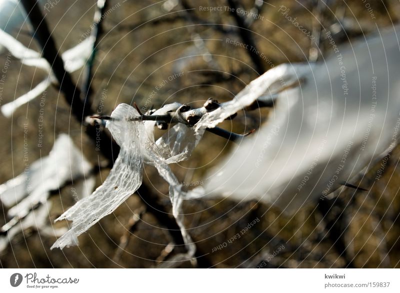 [HB 09.1] - flutterwunder Judder Wind Field Meadow Branchage Tree Bushes Plastic Sewing thread String