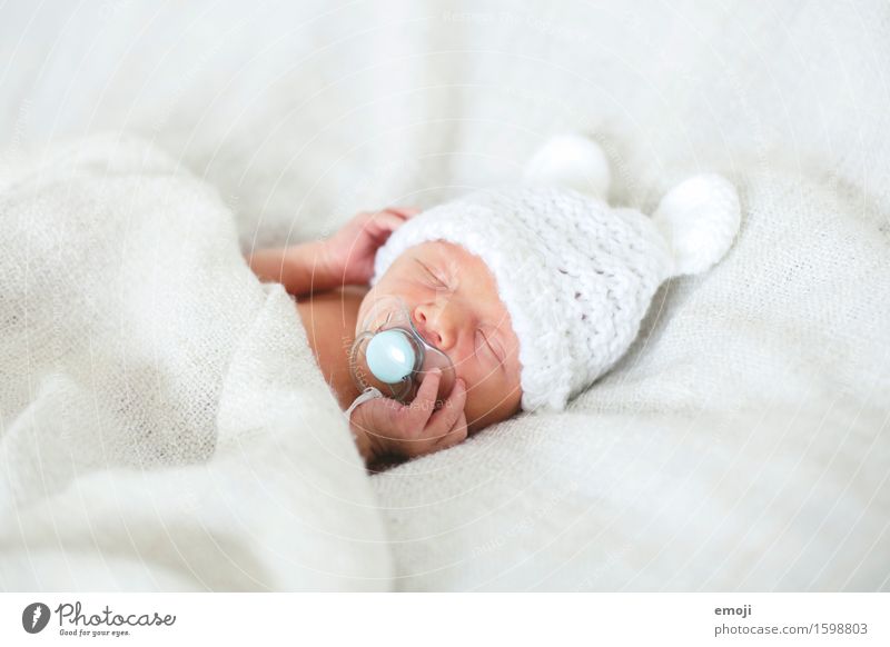 nestled Baby Head 1 Human being 0 - 12 months Soother Cap Cuddly Small White Sleep Bed Colour photo Interior shot Neutral Background Day Shallow depth of field