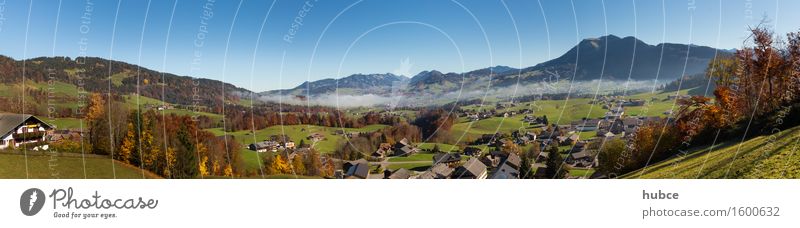 Schwarzenberg panorama in east direction Nature Landscape Beautiful weather Hill Alps Mountain Far-off places Blue Happy Relaxation Idyll egg