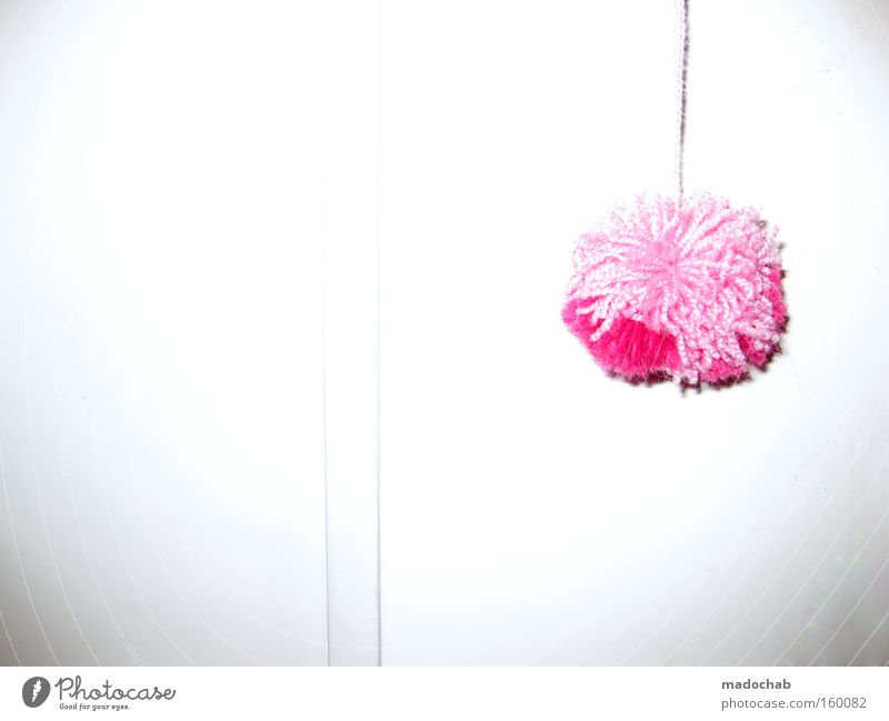 Très chique trashig | a phonetic symphony Tuft Decoration Pink Girlish Trashy Bright background Copy Space left Copy Space bottom Odds and ends Feather duster