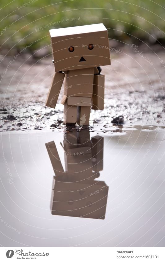 What do u see? Reflection Robot Water Body of water Puddle Cardboard little man Figure Piece Eyes Face Nature Natural danboo danboard Small Miniature Discover