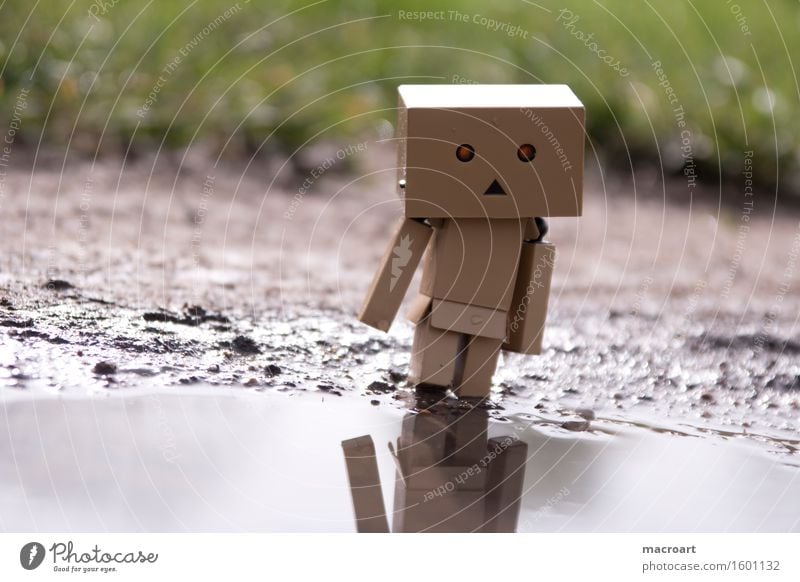 Mirror, mirror.... Reflection Robot Water Body of water Puddle Cardboard Masculine Figure Piece Eyes Face Nature Natural danboo danboard Small Miniature
