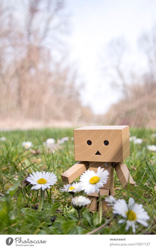 summer Summer Sun Meadow danboard Robot Small Man Body Figure Life To enjoy Things Daisy Face Plant Lawn Nature Natural To go for a walk Calm