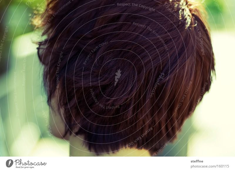 back of the head Woman Back of the head Hair and hairstyles Red Brown Wind Ruffled rear view creep up