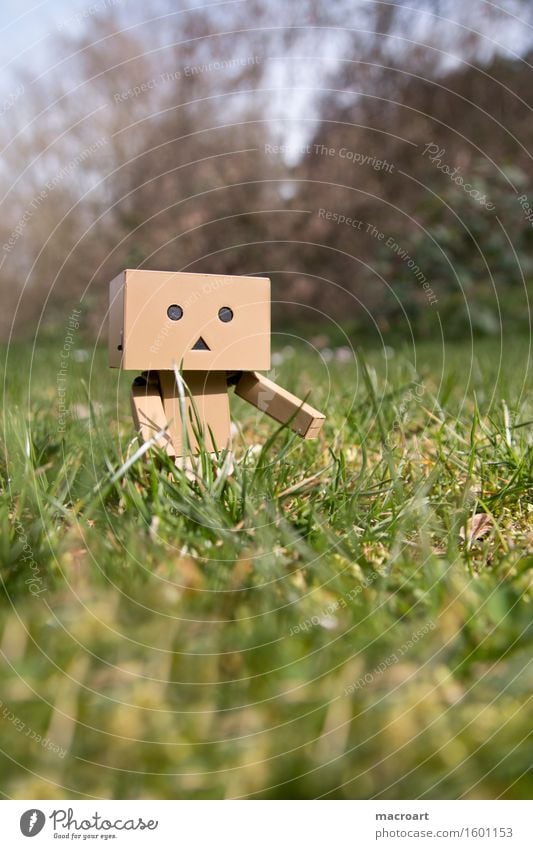 Small robot on the meadow Summer Sun Meadow danboard Robot Masculine Figure Life To enjoy Things Daisy Face Plant Lawn Nature Natural To go for a walk Calm
