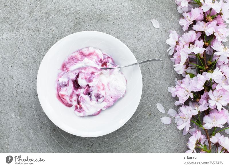 cherry quark Food Yoghurt Dairy Products Nutrition Breakfast Vegetarian diet Diet Bowl Healthy Eating Fresh Delicious Pink Spring fever Ease Cherry blossom
