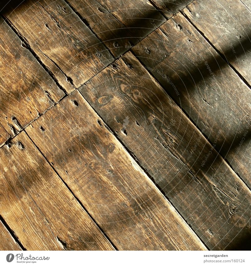 HB 09.1] sssss (SunnyShadowStripesShadyShipFloor) Wooden floor Under Old Ancient Crossed Room Cleaning Dirty Beautiful weather Plank Café Bremen Rustic