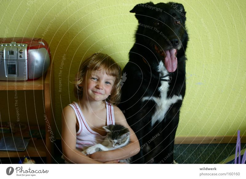 pets Dog Cat Child Black White Animal Undershirt Girl Interior shot Green Joy Trust Mammal on arm in the nursery