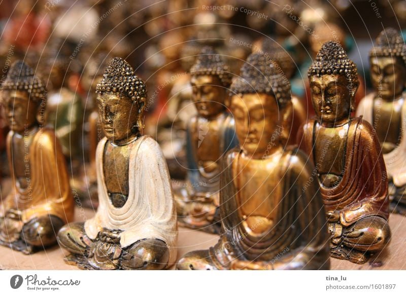 Buddhas Culture Statue of Buddha Buddhism Market stall Arts and crafts  Asia Ubud Bali Indonesia Figure Gold Happy Power Brave Love Humanity Serene Patient