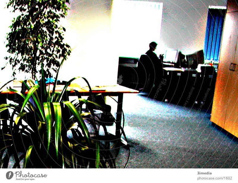 office2 Photographic technology Office Colour