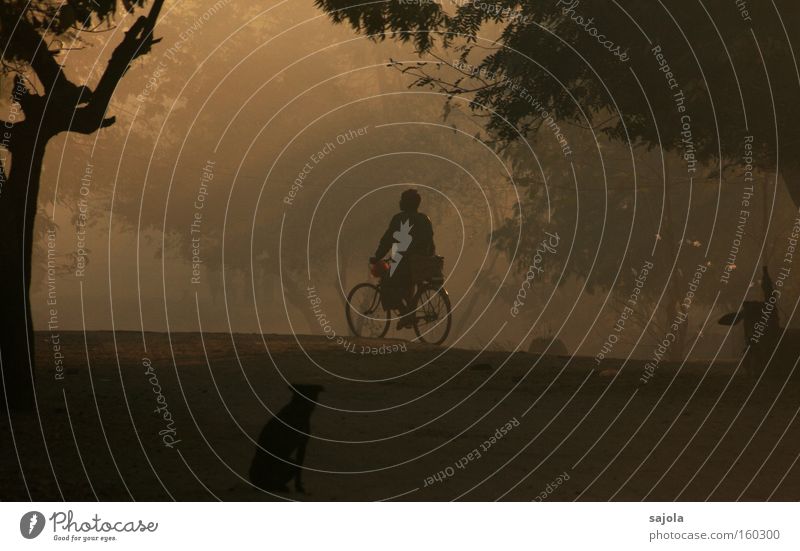 cyclists at dawn Cycling Bicycle Human being Masculine Man Adults 1 Tree Myanmar Asia Transport Means of transport Dog Moody Esthetic Contentment Dusty