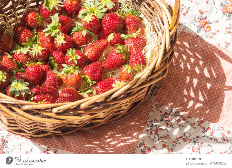 Basket with strawberry Fruit Eating Diet Healthy Eating Summer Nature Plant Flower Leaf Fresh Bright Small Green Pink Red White Strawberry Gourmet Choice