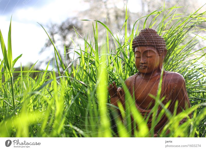 awake 1 Human being Grass Meadow Wood Sit Contentment Optimism Willpower Serene Patient Calm Self Control Purity Belief Religion and faith Buddha Meditation