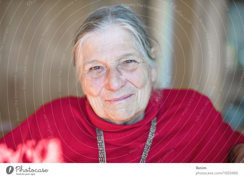 Portrait of a happy old woman Healthy Health care Care of the elderly Well-being Contentment Relaxation Feminine Female senior Woman Grandmother Senior citizen