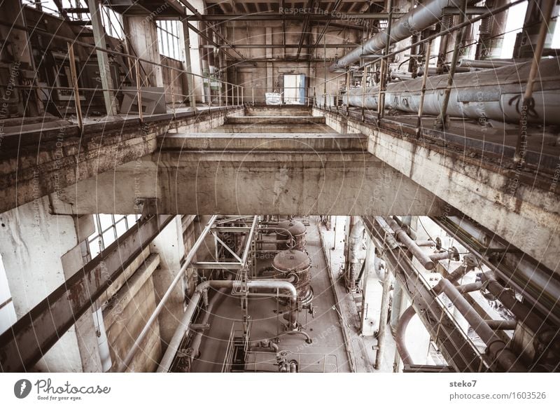 aspen grove Industrial plant Factory Ruin Past Transience Change Decline Industrial wasteland Factory hall Pipe Concrete Production plant Subdued colour