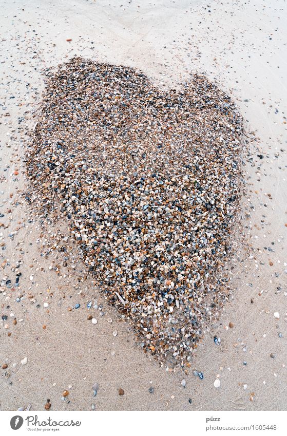 clam heart Vacation & Travel Summer Summer vacation Beach Environment Nature Animal Elements Earth Sand Coast North Sea Mussel Sign Heart Small Brown Love