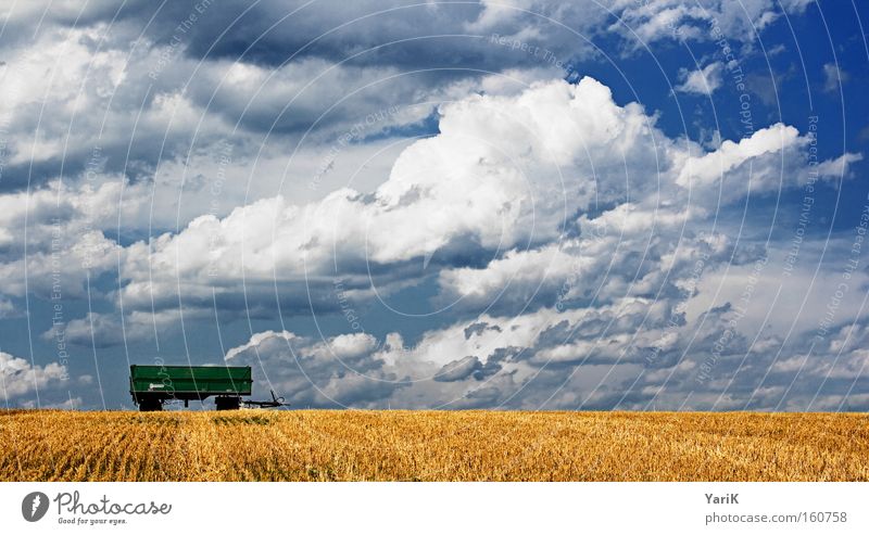 hang Trailer Summer Harvest Field Straw Clouds Sky Blue Grain Blade of grass White