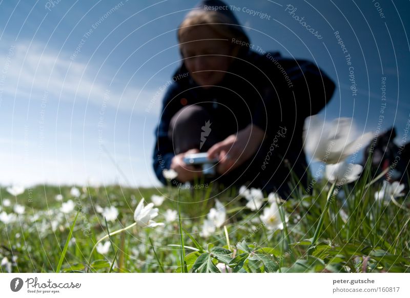 Photograph flowers Woman Take a photo Camera Flower Meadow Nature Enthusiasm Technology Attempt Interest Sky Blue Spring Young woman Photographer Blur