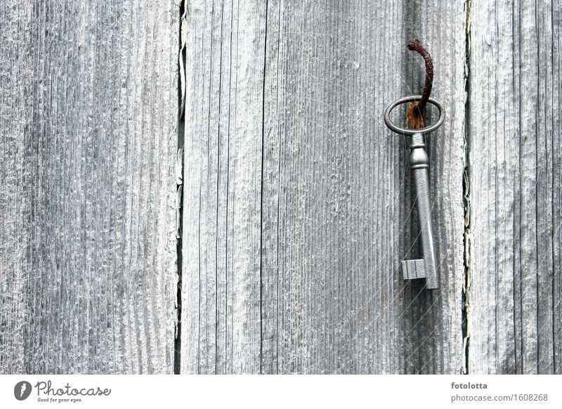 key board Wood Metal Rust Key Wooden wall Nail Old Brown Gray Silver White rusty warped Colour photo Subdued colour Exterior shot Deserted Weathered Close-up