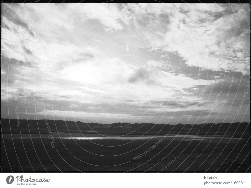 blinded by the light Forest Marsh Clouds Sky Analog Maine Black & white photo USA Acadia