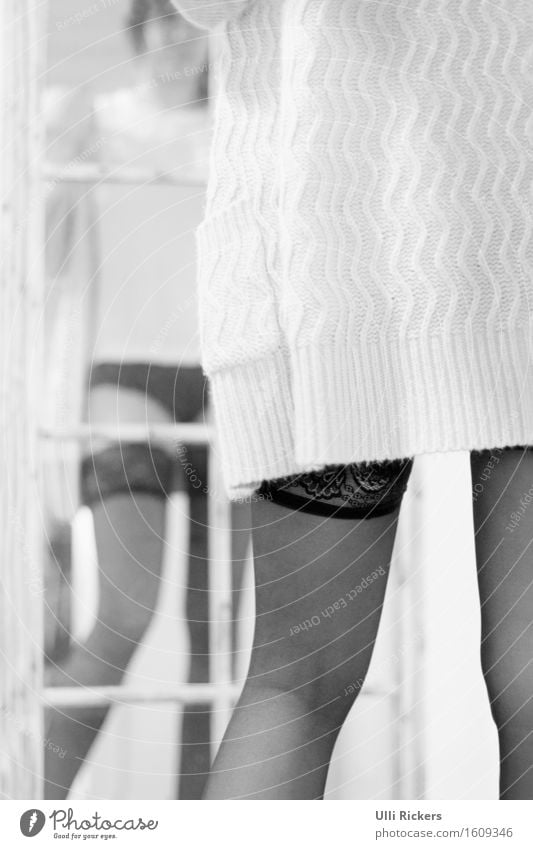 legs for days Mirror Feminine Young woman Youth (Young adults) Legs 1 Human being 18 - 30 years Adults Sweater Underwear Observe Looking Carrying Eroticism Thin