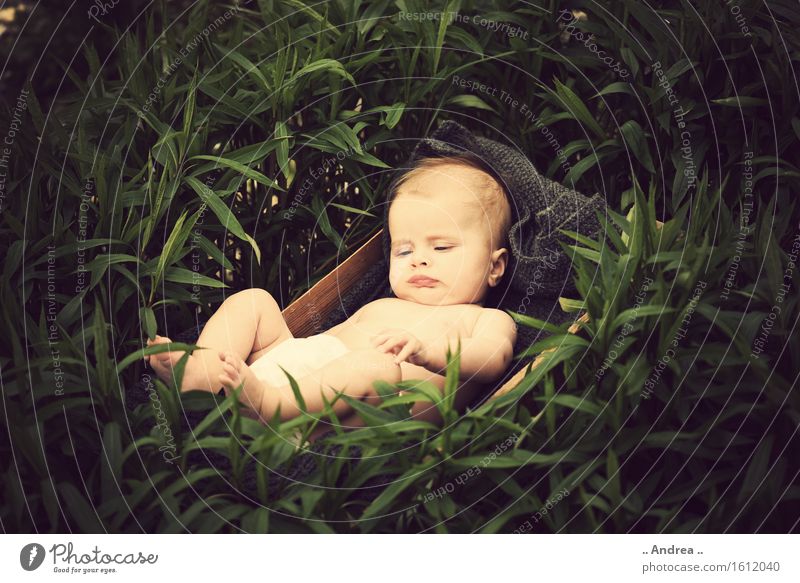 Dreaming in the green Feminine Child Baby Infancy 1 Human being 0 - 12 months To enjoy Lie Sleep Happy Small Naked Natural Curiosity Brown Green Emotions