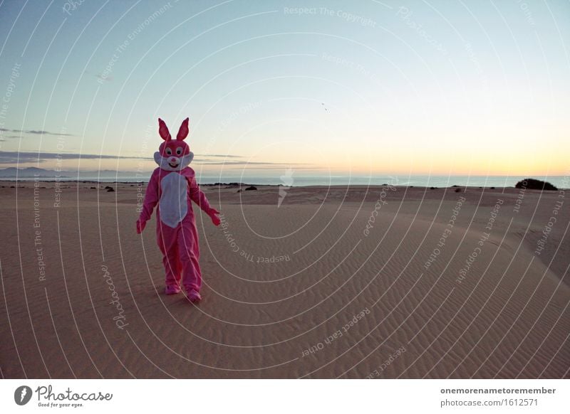 What's uuup? Art Work of art Esthetic To go for a walk Island Travel photography Traveling Travel guide Hare & Rabbit & Bunny Easter Desert Lost Irritation Sky