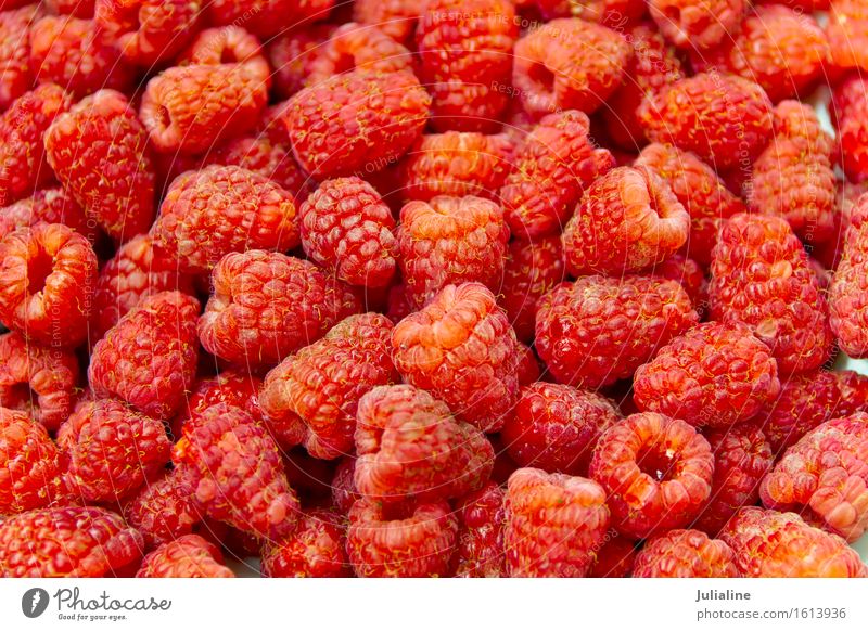 Background fresh red raspberry Vegetarian diet Fresh Red Raspberry sweet Berries food healthy Raw Organic garden stuff Colour photo