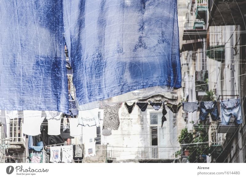 big wash Old town Facade Laundry clothesline Balcony Street Housefront Pants Underwear Bedclothes Washing day Hang Authentic Town Blue White Cleanliness