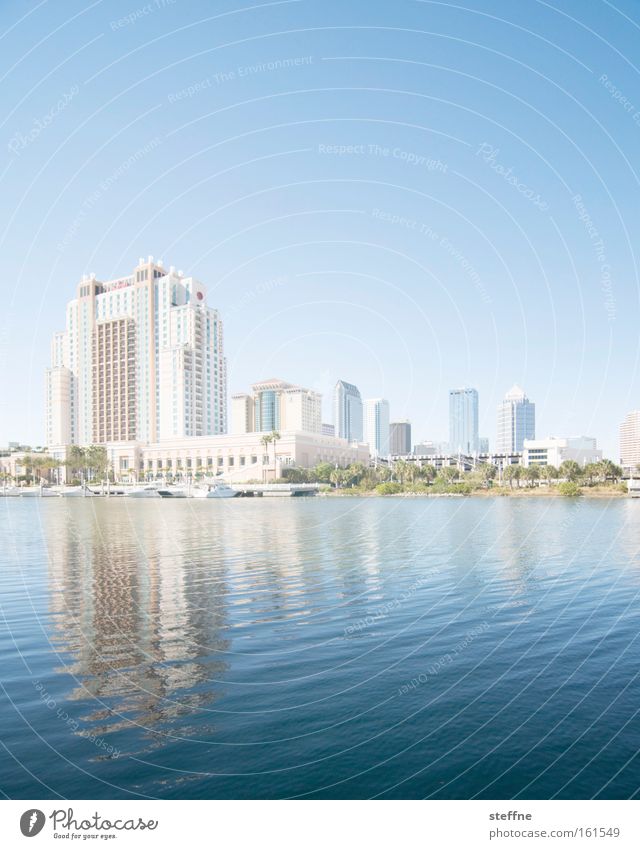 postcard Skyline Tampa Florida USA Water Reflection House (Residential Structure) High-rise Downtown Coast Lakeside River bank Sun Bay Ocean