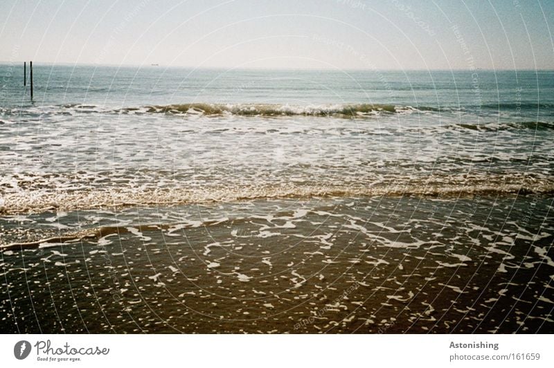 I want Meehr! Beach Ocean Waves Winter Sand Water Sky Coast Wood Cold Wet Blue White Stick Italy Colour photo Surf Foam Horizon Far-off places Deserted