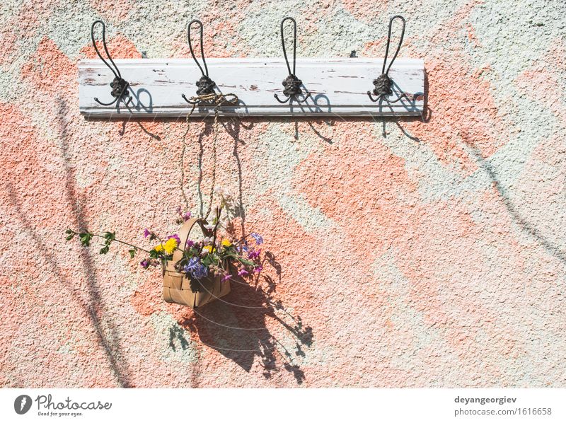 Flowers in the basket on hanger on a wall Pot Design Beautiful Summer Garden Decoration Nature Plant Leaf Blossom Green White Colour Hanging Basket spring