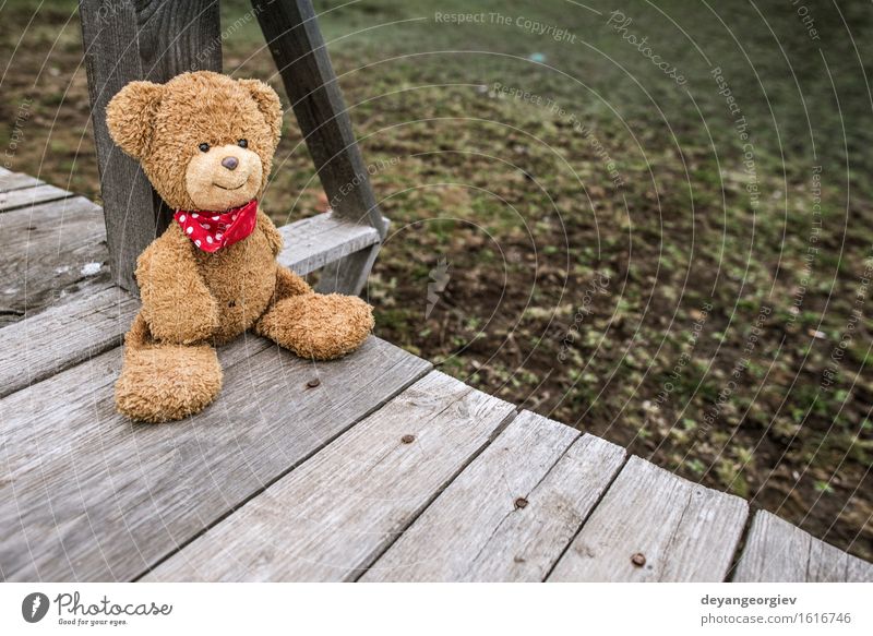 Teddy bear sitting on a pier. Relaxation Garden Baby Friendship Infancy Nature Park Toys Doll Love Sit Cute Retro Brown Green Loneliness Bear Jetty vintage